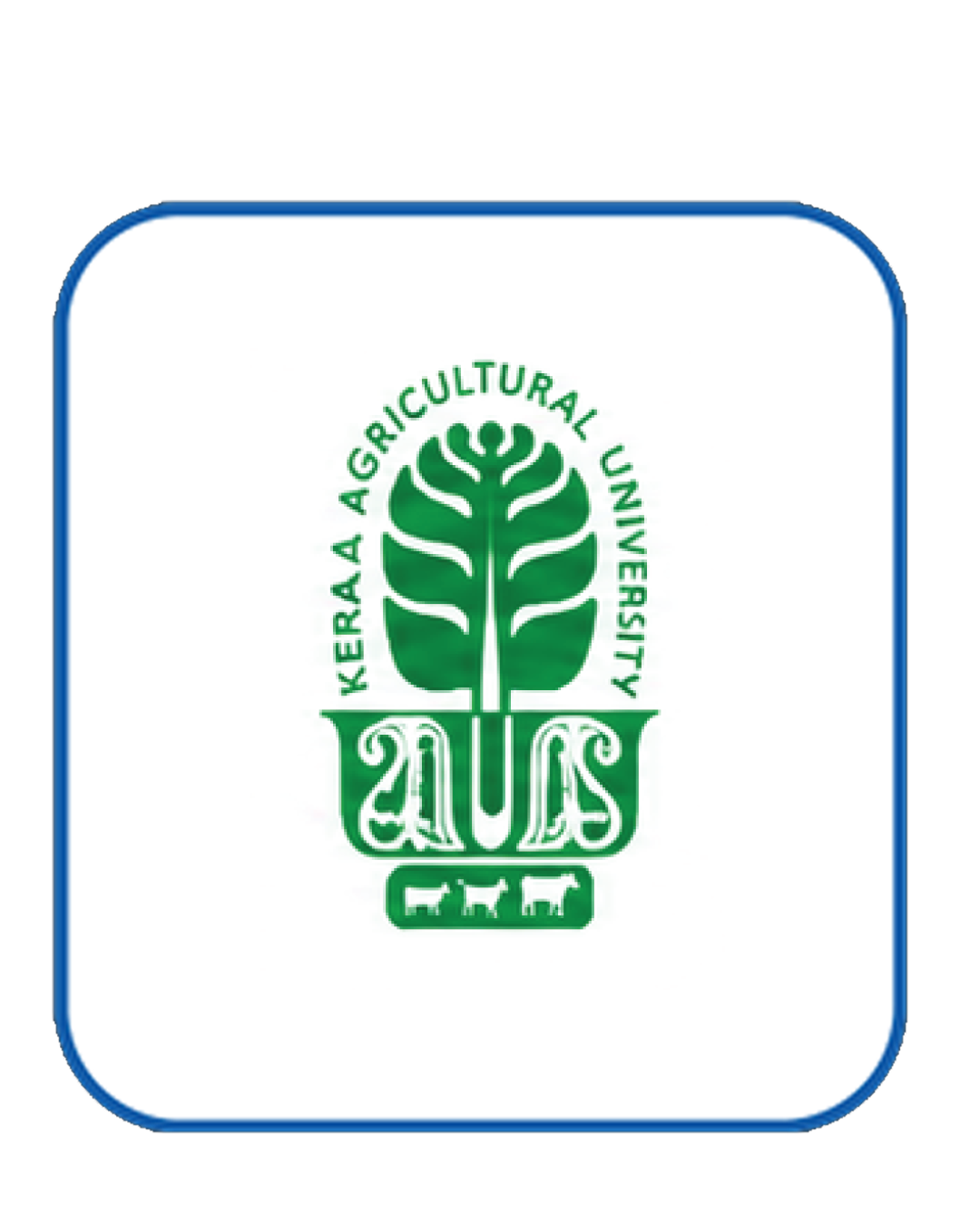 eluvi product